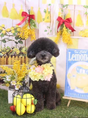 20240416コタロウくん